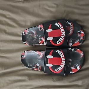 10M‎ Champion Slides